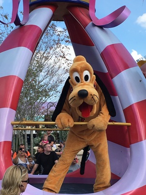 Pluto in Disney World Parade